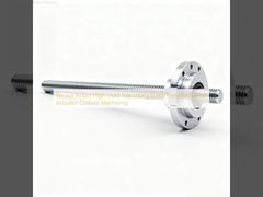 Robot de servicio de alta carga, elevación de bandeja, husillo, actuador lineal de precisión, mecanizado a medida