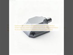 Motor a prueba de explosión tapa de extremo sellada IP66 grado de protección de acero inoxidable tapa de extremo a prueba de polvo accesorios de motor a prueba de agua componentes a prueba de explosión personalizados